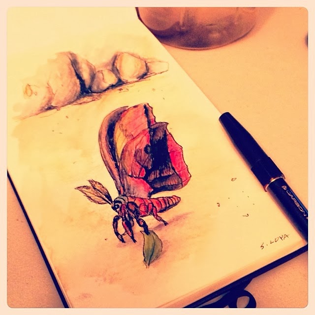 640x640 Go Flying Turtle March