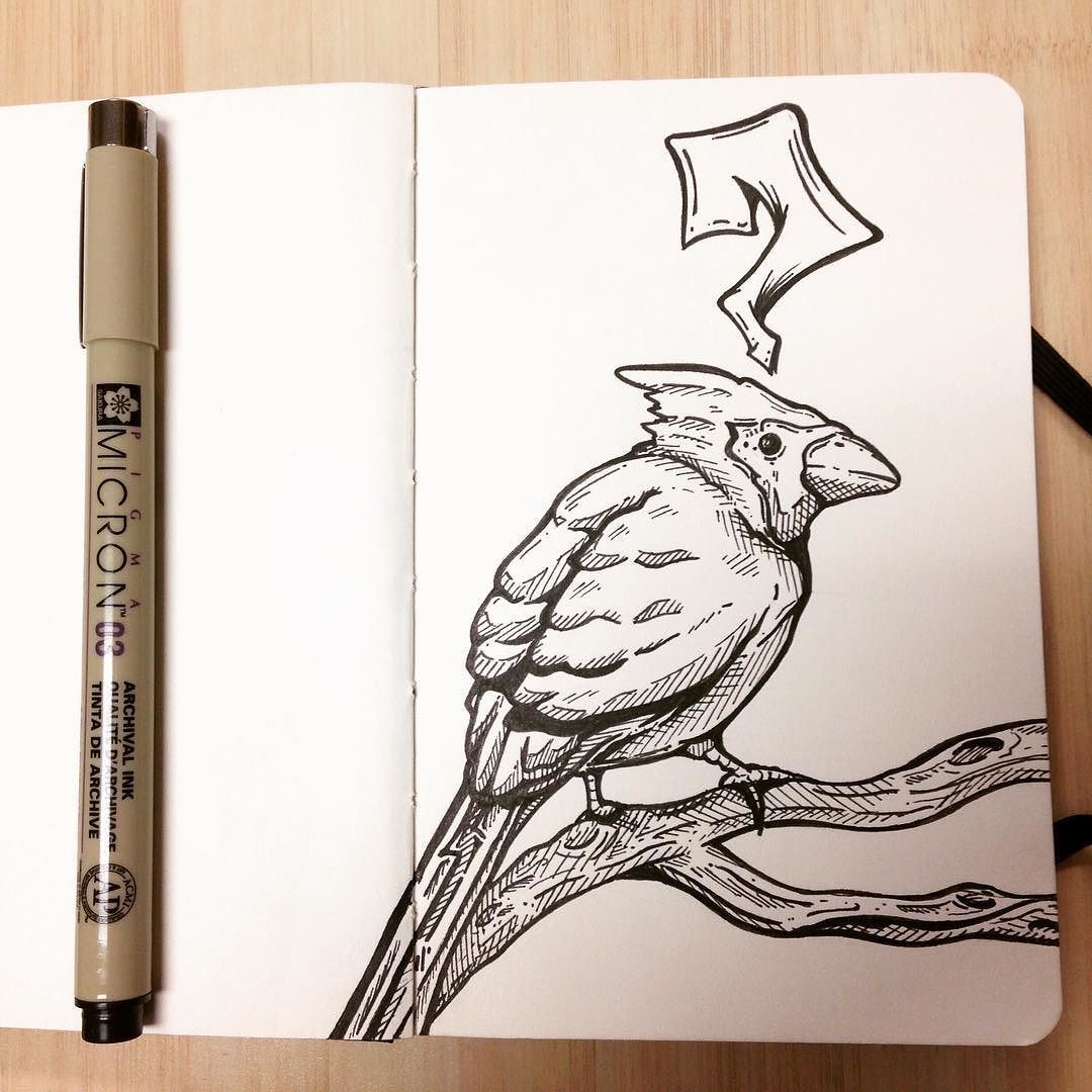 1080x1080 Young Cardinal