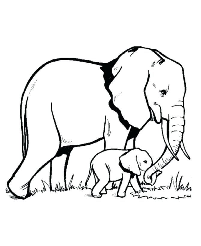 670x820 Printable Elephant Coloring Pages Pictures Color Best Adult