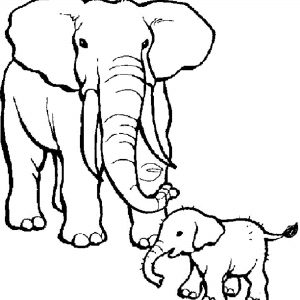300x300 Baby Elephant Drawing