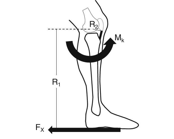 714x573 the diagram illustrates posterior ground reaction force
