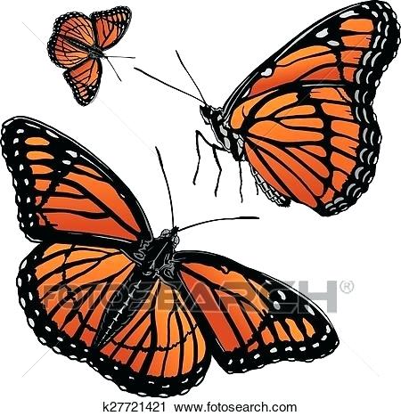 450x467 clipart monarch butterfly monarch butterfly drawing clip art