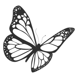 256x256 Isolated Butterfly Drawing