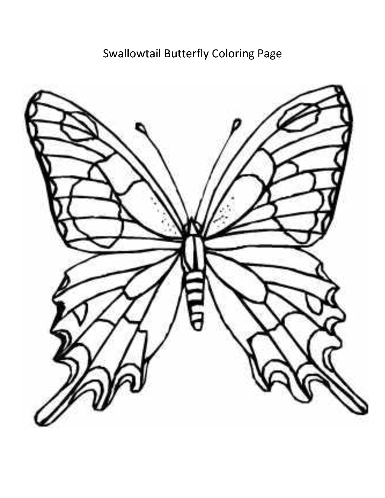 1275x1650 Arts Butterfly Outline Drawing Good Looking Free Monarch