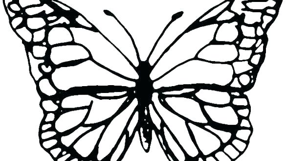 585x329 Outlines Of Butterflies Butterfly Outlines Butterfly Free
