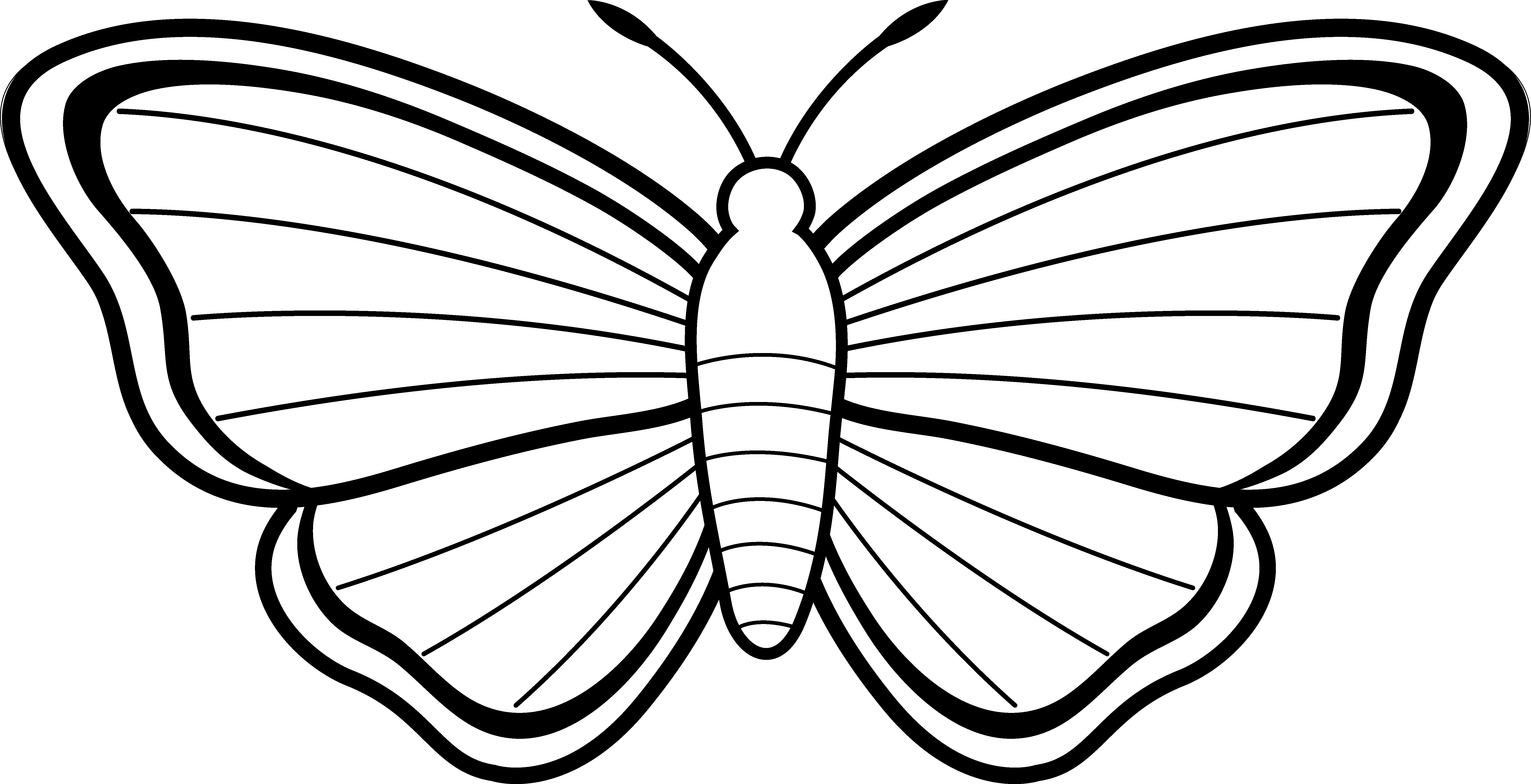 6978x3573 Monarch Butterfly Clip Art Black And White Holiday Fond