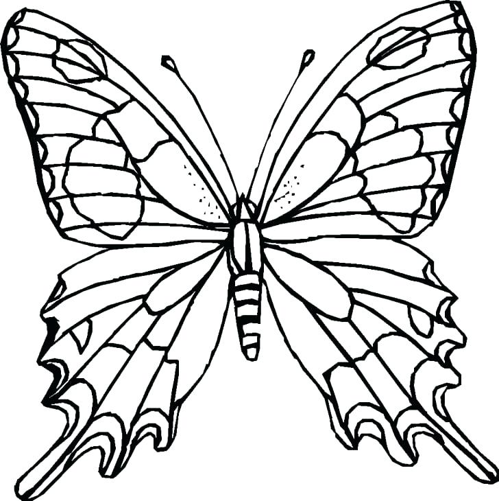 728x730 Monarch Butterfly Outline