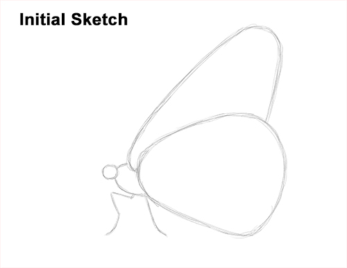 500x386 How To Draw A Butterfly