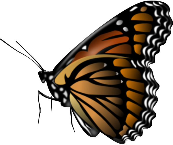 600x504 Monarch Butterfly Clip Art