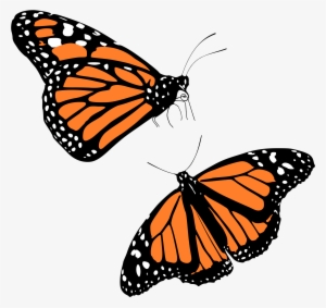 300x283 monarch butterfly png download transparent monarch butterfly png