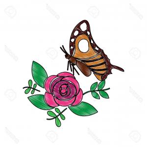 300x300 Monarch Butterfly Side View In Black And White Gm Soidergi