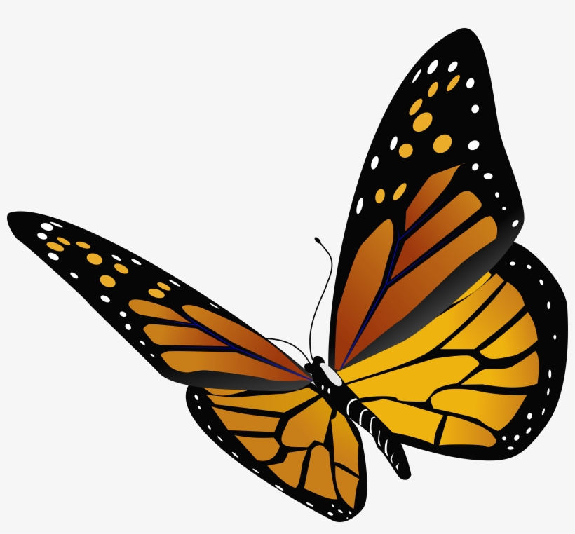 820x762 monarch butterfly transparent background transparent png