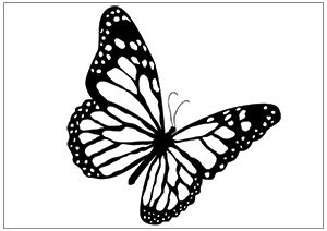 300x212 Printable Fun Butterfly Coloring Pages For Kids