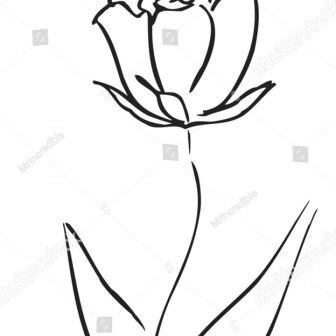 336x336 Butterfly Wings Line Drawing Monarch Clipart Flower A Outline