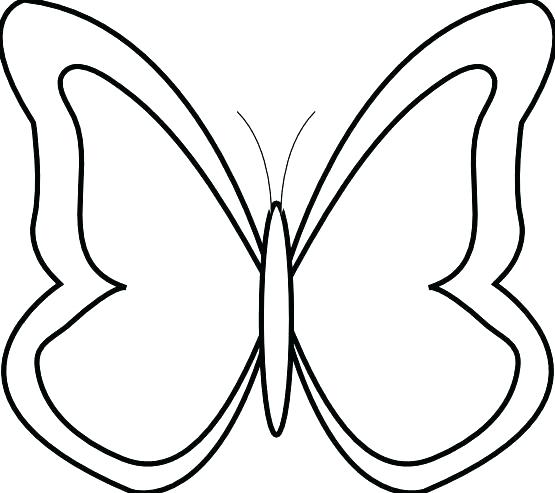 555x493 Collection Of Free Butterflies Clipart Line Drawing Download On Ui Ex