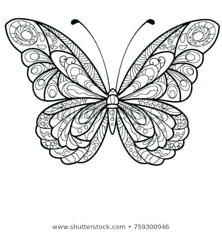 450x470 drawing butterfly draw butterfly monarch butterfly drawing simple