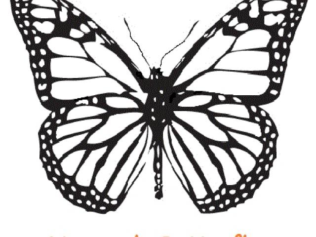 Monarch Butterfly Line Drawing | Free download on ClipArtMag