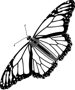 249x300 Monarch Butterfly Bw No Shadow Clip Art
