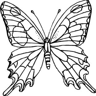 310x309 Monarch Butterfly Drawing Coloring Book Tattoo Png, Clipart