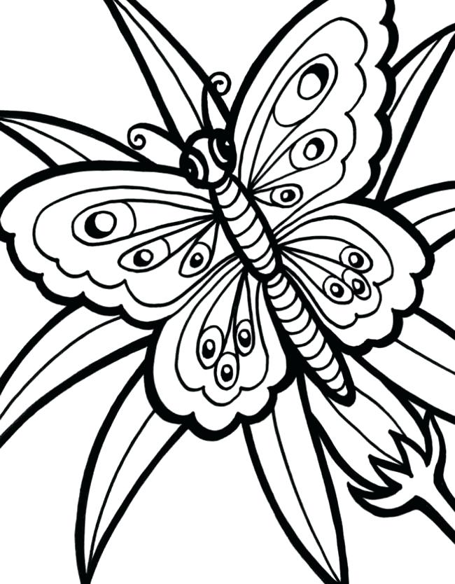 650x834 Monarch Butterfly Line Drawing Printable Templates And Template