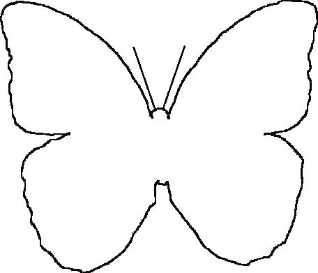 456x391 Monarch Butterfly Outline Drawing Clip Art Butterflies Black