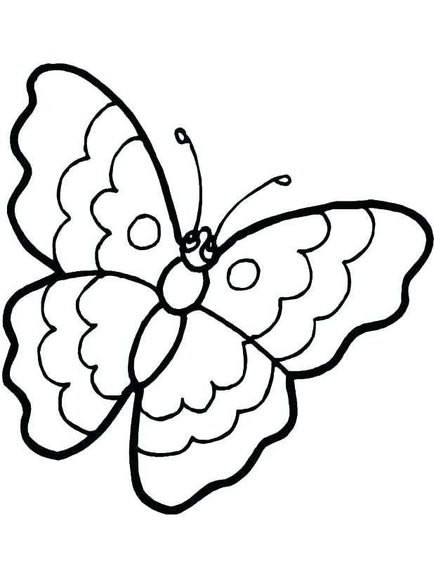 618x823 monarch butterfly life cycle coloring sheet beautiful monarch