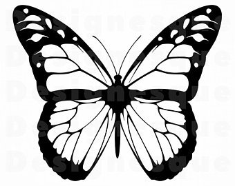 340x270 Monarch Etsy