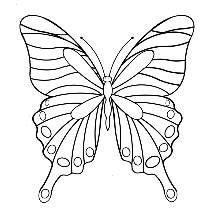 Monarch Butterfly Line Drawing | Free download on ClipArtMag