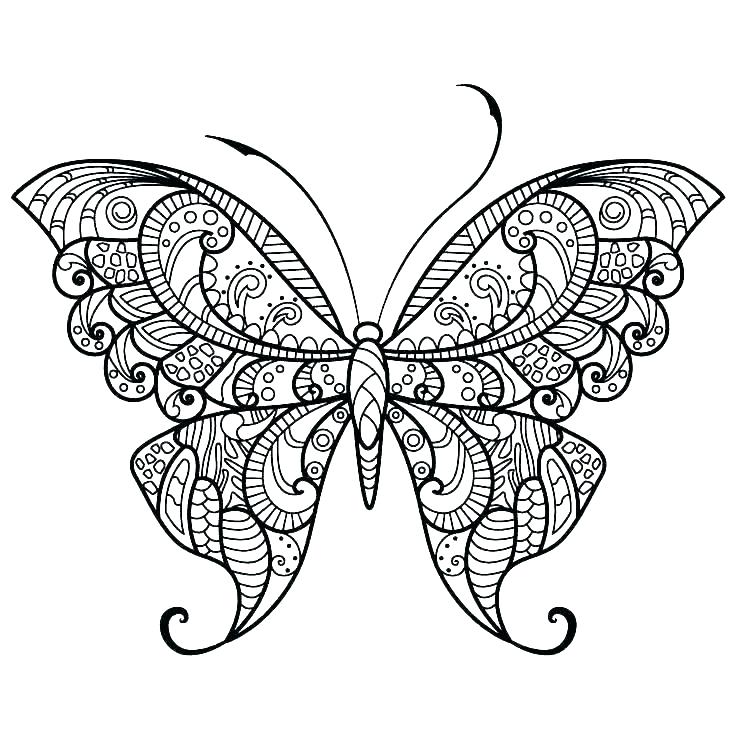 736x736 Butterfly Color Pages Symmetrical Drawing Pages Printable