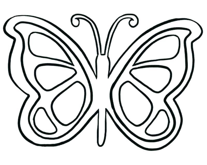800x635 Luxury Caterpillar To Butterfly Coloring Sheet Crest