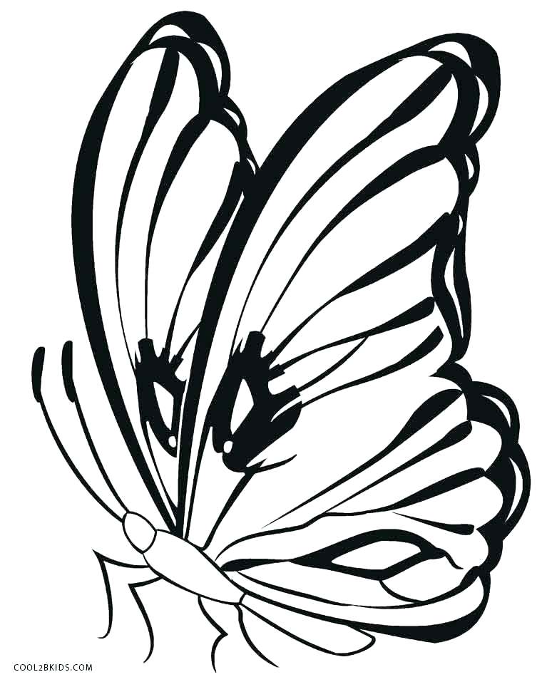 760x950 monarch butterfly coloring monarch butterfly coloring