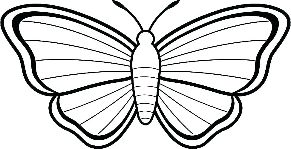 Monarch Caterpillar Drawing | Free download on ClipArtMag