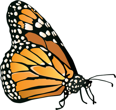 400x380 Monarch Drawing Transparent Png Clipart Free Download