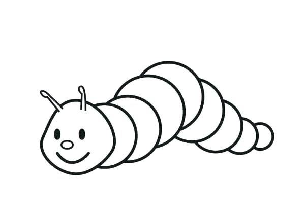 600x422 How To Draw A Caterpillar Step