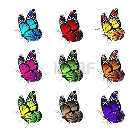 450x450 How To Draw Butterflies Flying Monarch Butterfly Set Of Realistic