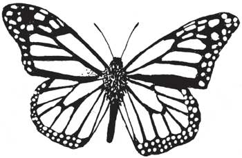 350x229 Huge Collection Of 'monarch Butterfly Line Drawing' Download More