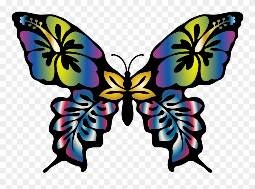 880x654 Monarch Butterfly Insect Flower Wing