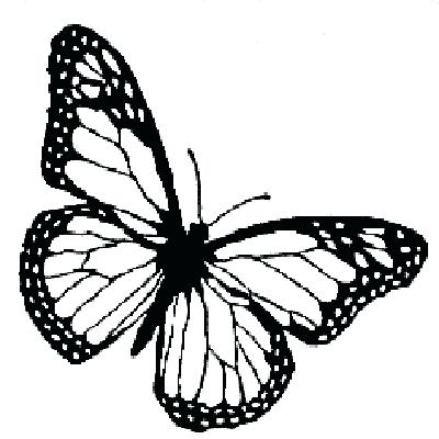 400x400 Monarch Butterfly Line Drawing At Free For Template Art