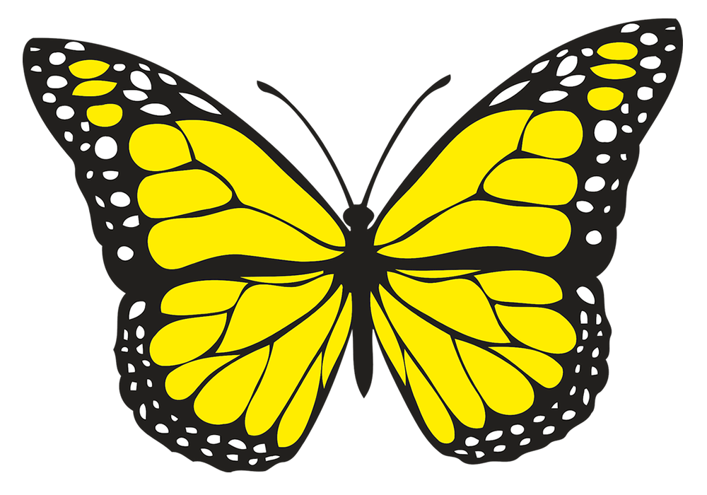 1000x700 Monarch Drawing Transparent Png Clipart Free Download