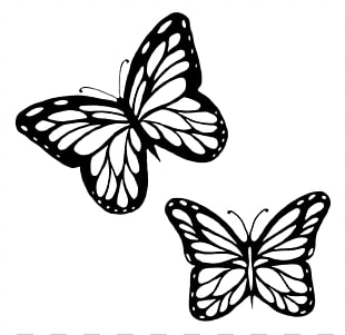 310x301 Monarch Butterfly Outline Drawing Butterflies Black And White