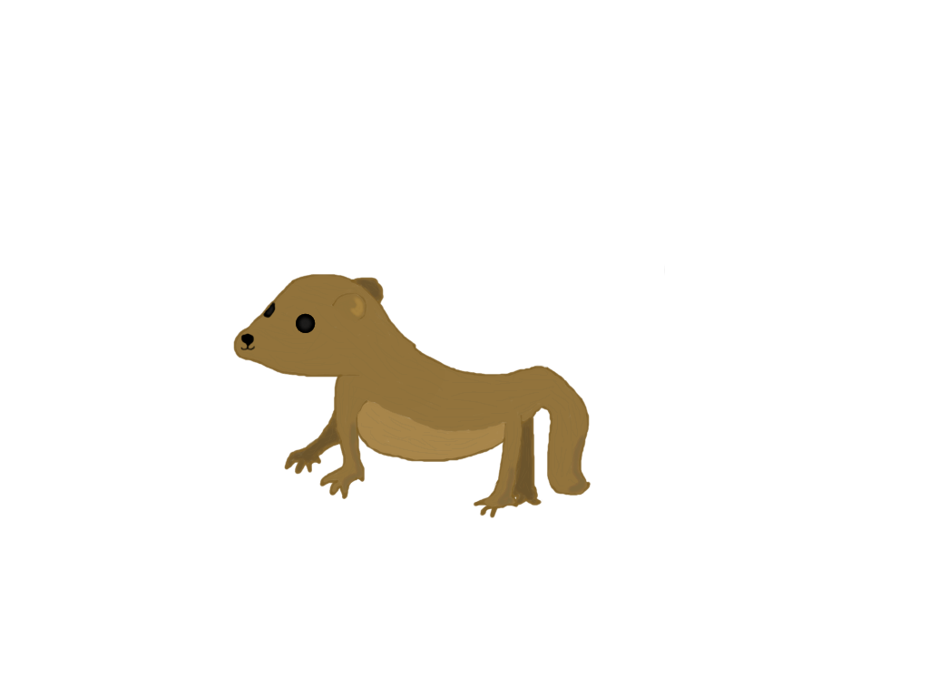 1024x768 collection of free mongoose drawing download on ui ex