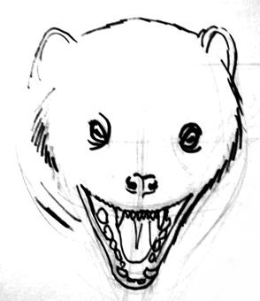 294x340 how to draw mongoose`s head and face