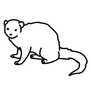 300x300 Learn How To Draw Animals Step