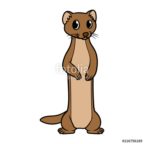 Mongoose Drawing | Free download on ClipArtMag