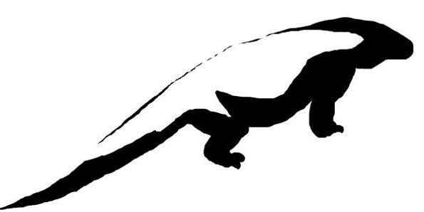 595x298 How To Draw A Monitor Lizard