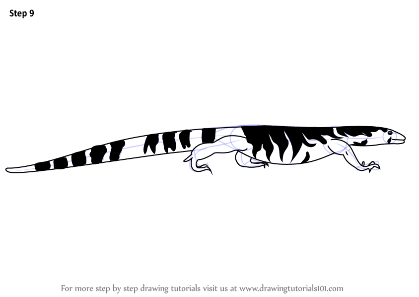 844x598 Learn How To Draw A Nile Monitor