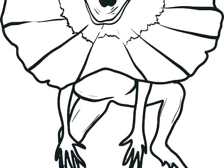 440x330 Lizard Coloring