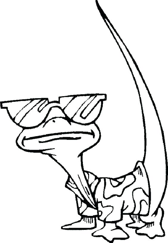 564x816 Lizards Coloring Pages Coloring Pages Lizard Coloring
