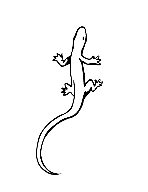 612x792 Monitor Lizard Clipart House Lizard
