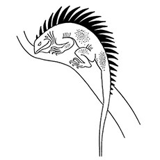 230x230 The Monitor Lizard Like Coloring Pages